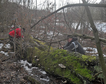 V pedjarnm ternu - foto: J.Pomura