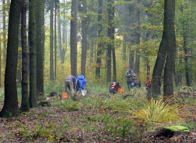 vtan sbr vclavek pro kuchyni - foto: J.Landa