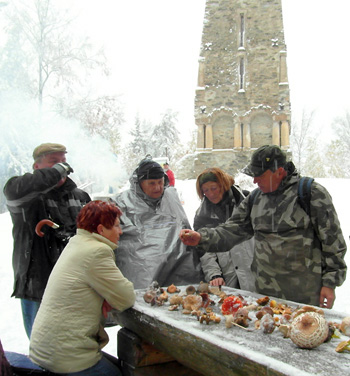 zasnen houbask vstavka