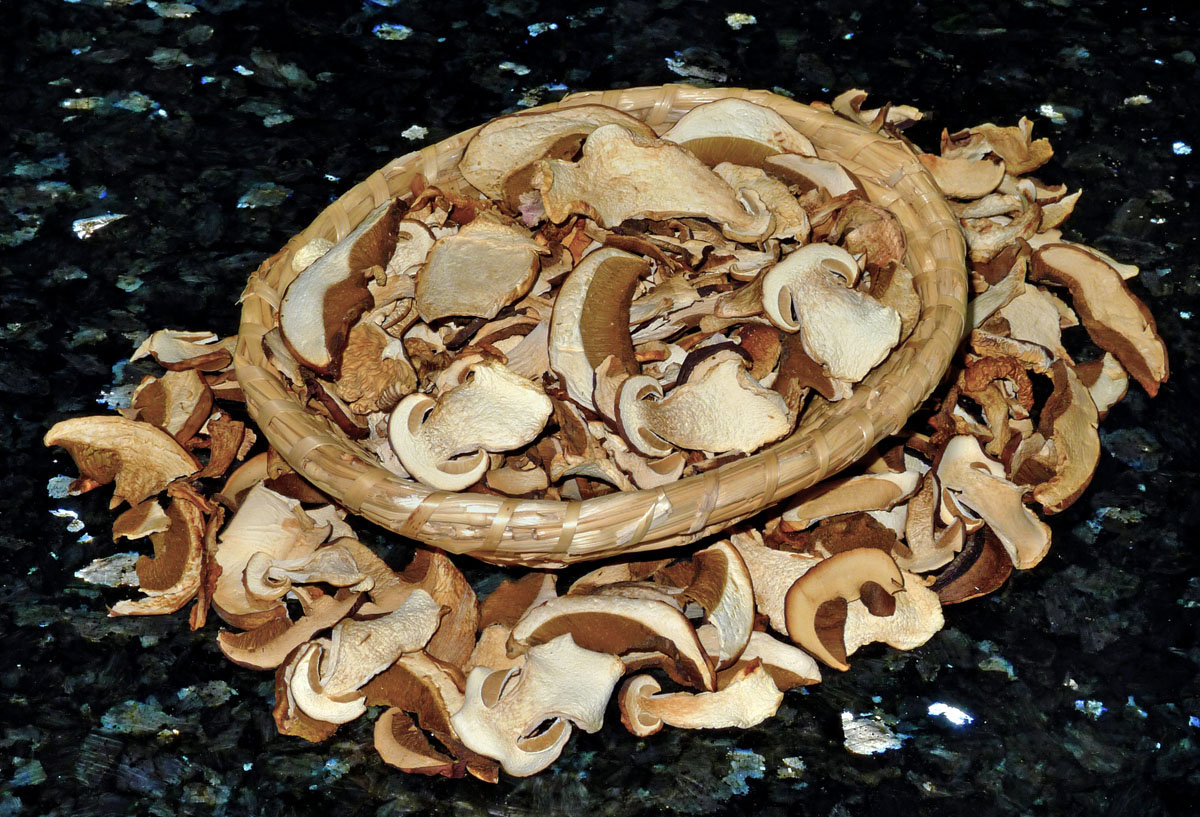 sušené houby pro zimní houbařovu kuchyni - foto: Aleš Vít