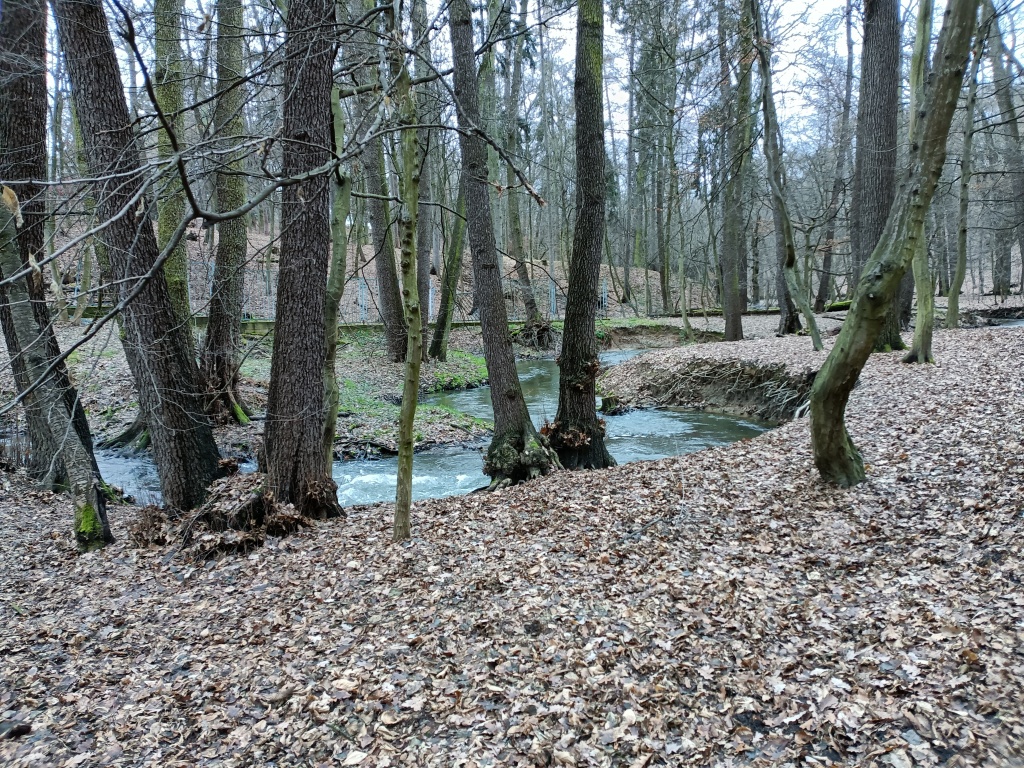 Kunratický les - foto: Markéta Vlčková