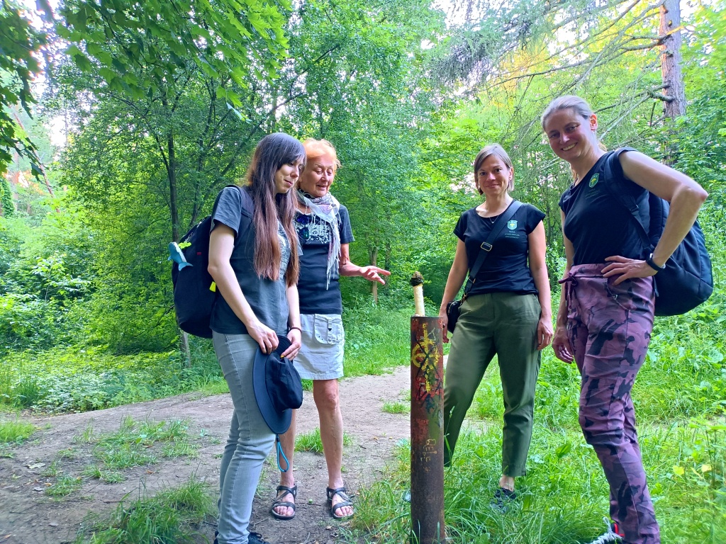 nejlepší na konec (Phallus impudicus) - foto: Vavřinec Klener nejlepší na konec (Phallus impudicus) - foto: Vavřinec Klener