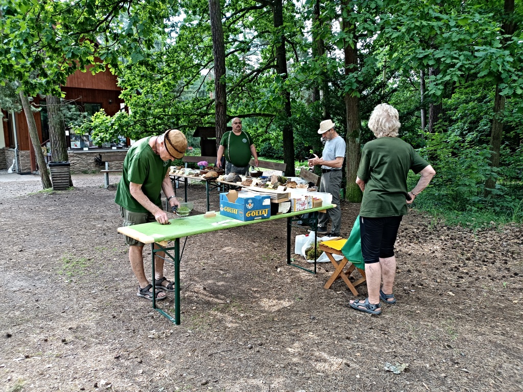 přípravy v plném proudu - foto: Markéta Vlčková přípravy v plném proudu - foto: Markéta Vlčková