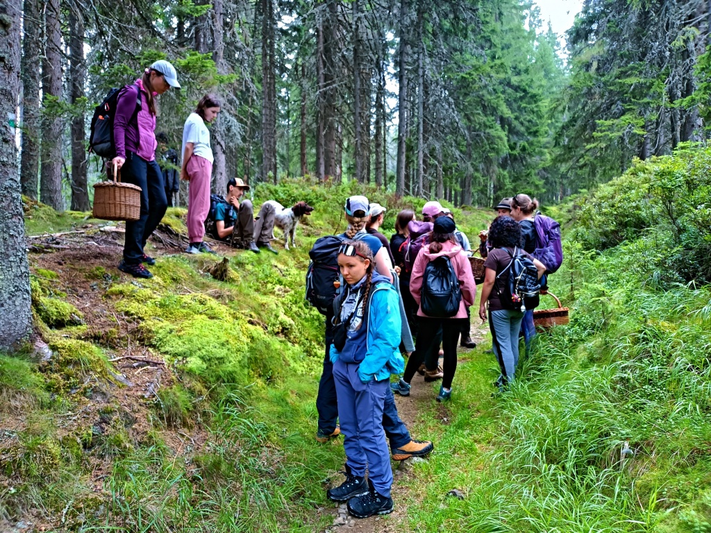 Z vycházky - foto: Markéta Vlčková Z vycházky - foto: Markéta Vlčková