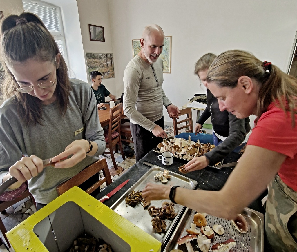houby kontrolujeme pečlivě - foto: Vavřinec Klener houby kontrolujeme pečlivě - foto: Vavřinec Klener