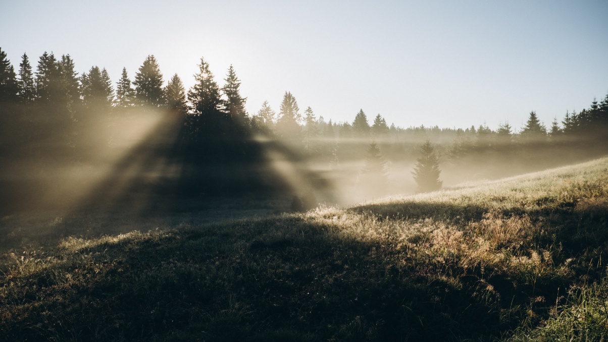 Národní park Šumava po ránu - foto: Liza Národní park Šumava po ránu - foto: Liza