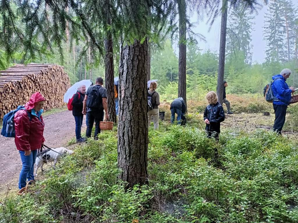 zase mokneme, ale snášíme to dobře - foto: Markéta Vlčková zase mokneme, ale snášíme to dobře - foto: Markéta Vlčková