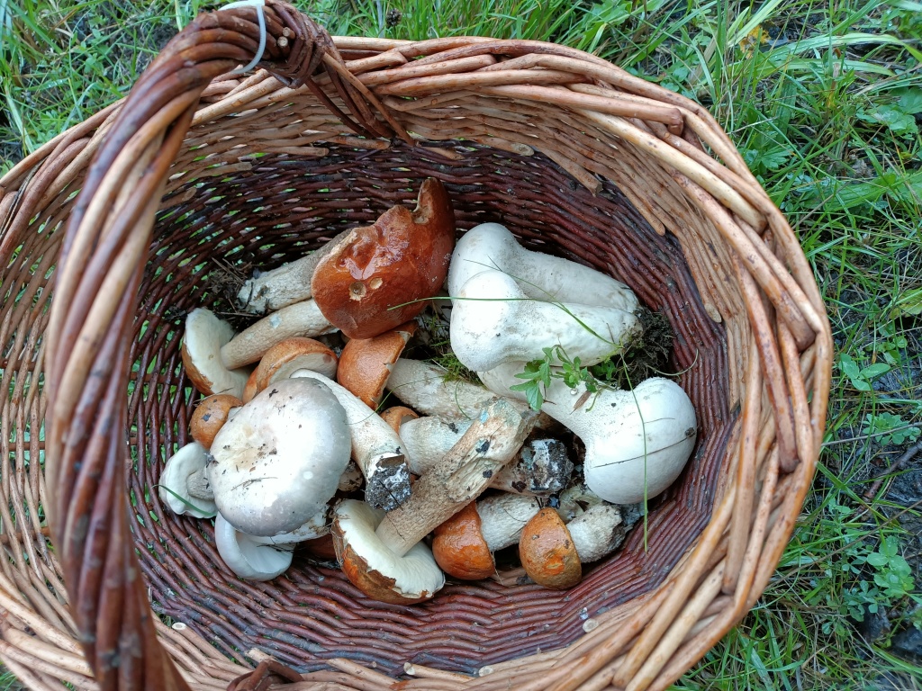 tak tohle nám expozici nezaplní - foto: Markéta Vlčková tak tohle nám expozici nezaplní - foto: Markéta Vlčková