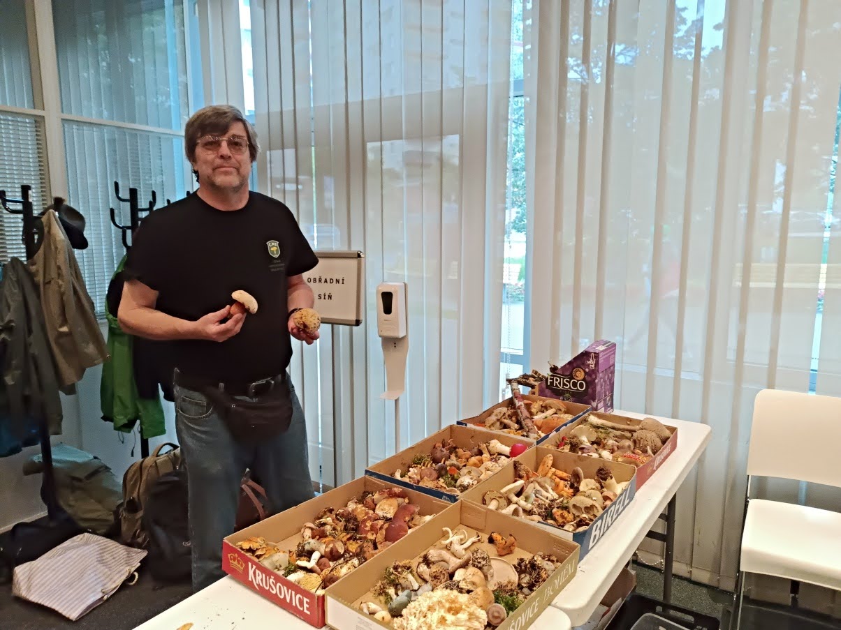 ...přitlačíme - foto: Markéta Vlčková ...přitlačíme - foto: Markéta Vlčková