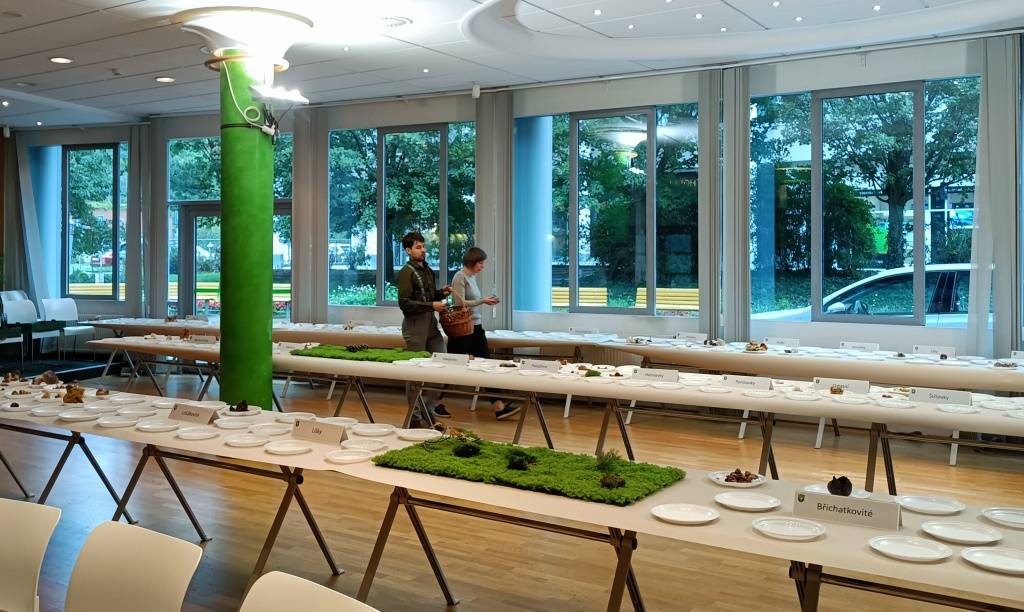 připravit je toho potřeba hodně... - foto: Markéta Vlčková připravit je toho potřeba hodně... - foto: Markéta Vlčková