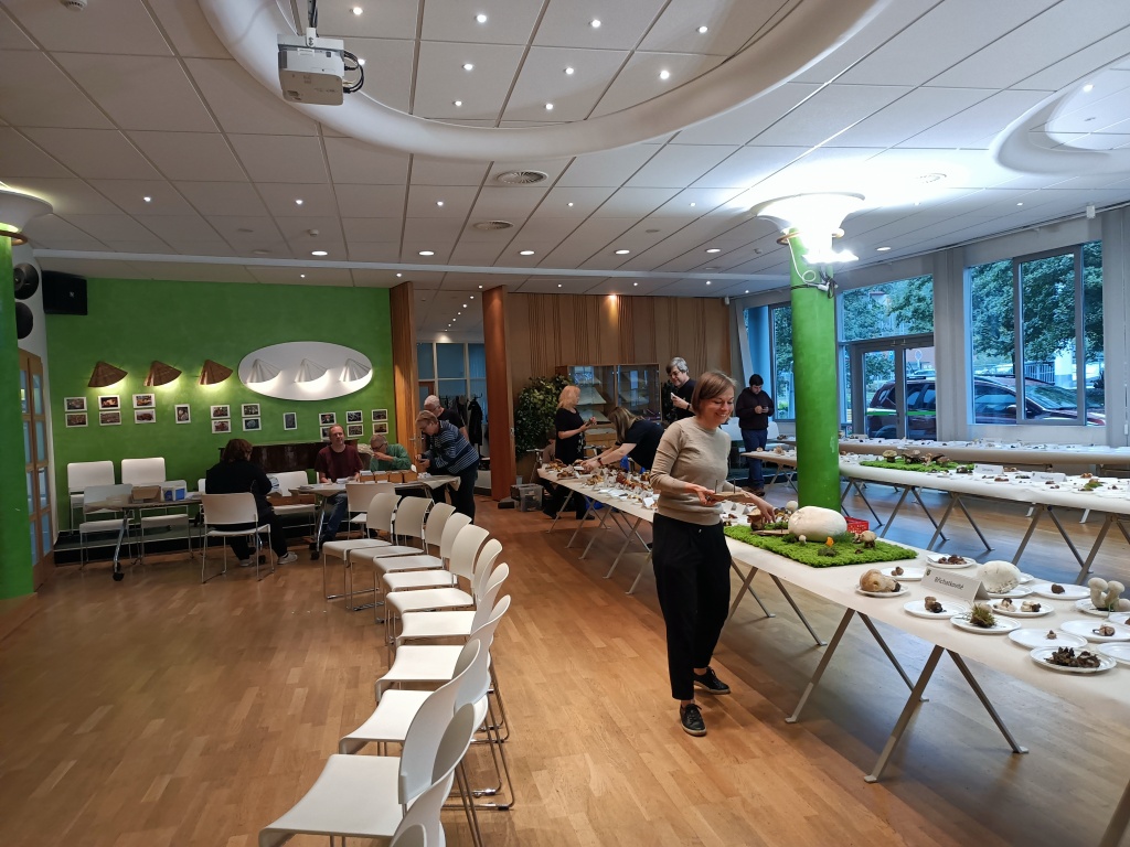 sál - foto: Markéta Vlčková sál - foto: Markéta Vlčková