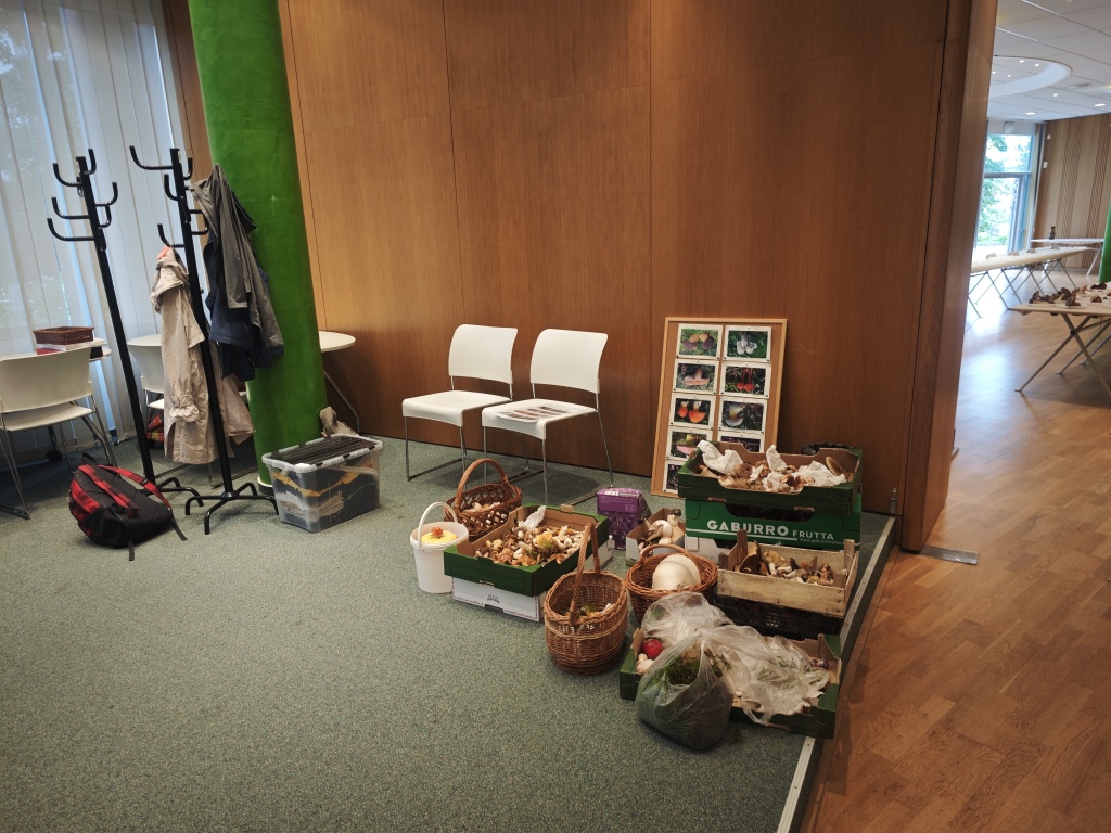 ...co je ještě třeba - foto: Ivo Novotný ...co je ještě třeba - foto: Ivo Novotný