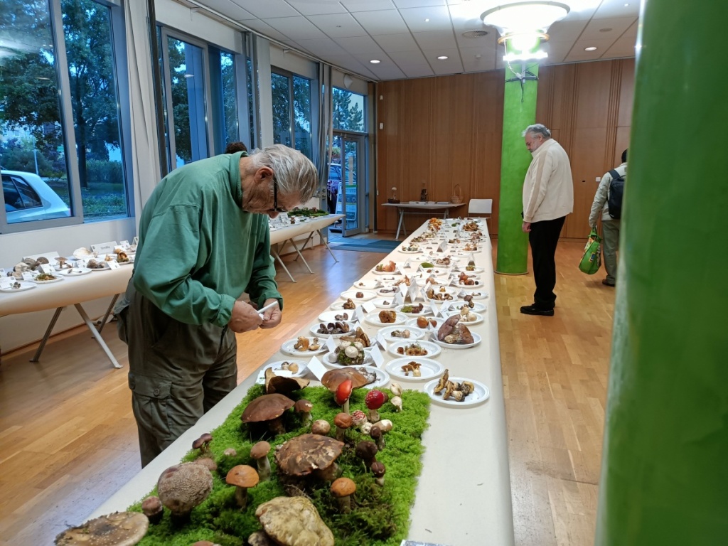 a finální kontrolou správnosti - foto: Markéta Vlčková a finální kontrolou správnosti - foto: Markéta Vlčková