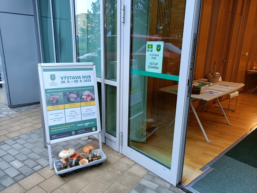 vnadidlo venku - foto: Markéta Vlčková vnadidlo venku - foto: Markéta Vlčková