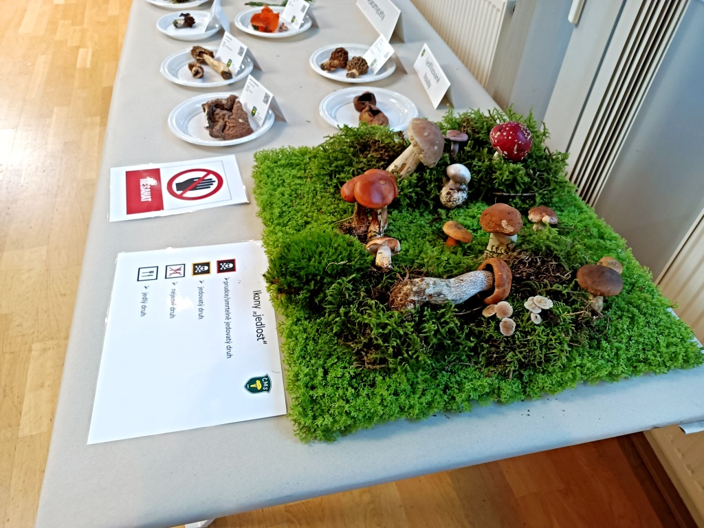 tady je start - foto: Markéta Vlčková tady je start - foto: Markéta Vlčková