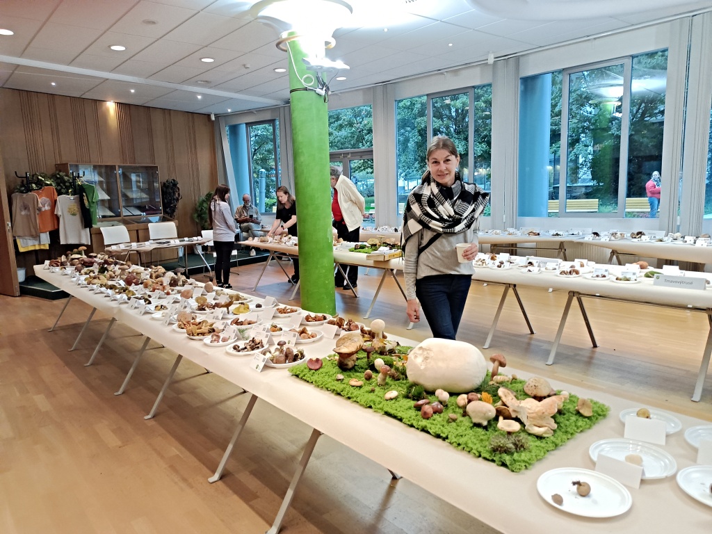 z expozice - foto: Markéta Vlčková z expozice - foto: Markéta Vlčková