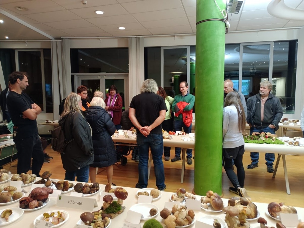 z komentované prohlídky - foto: Markéta Vlčková z komentované prohlídky - foto: Markéta Vlčková