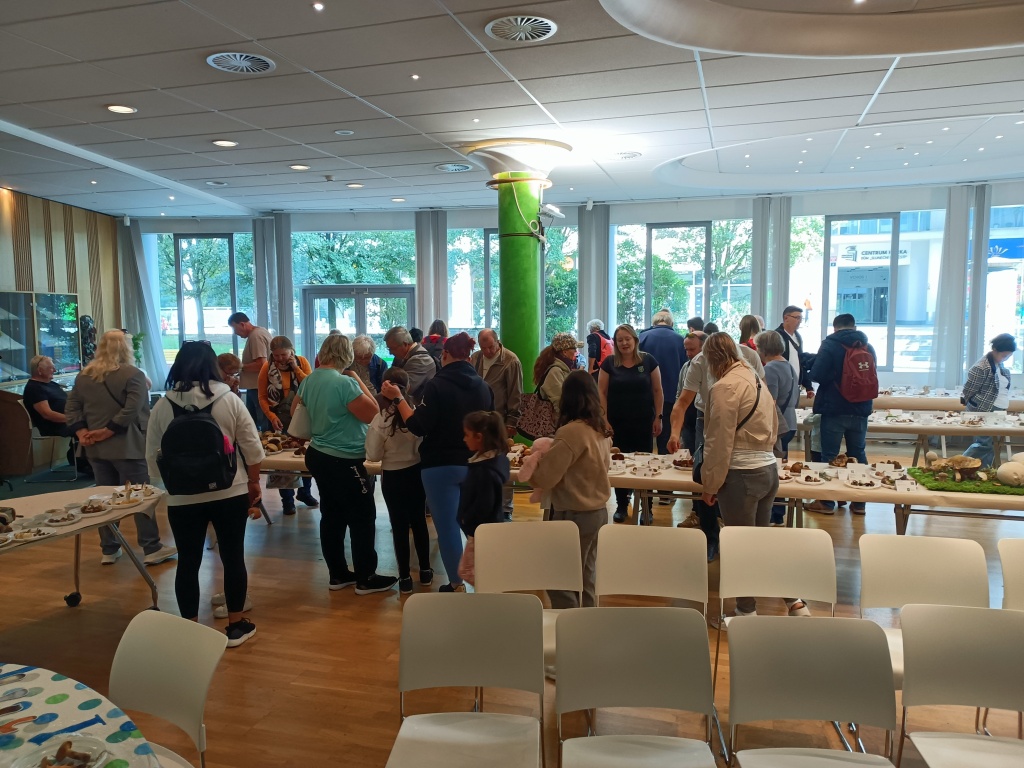 neděle přinesla hojnou návštěvnost - foto: Markéta Vlčková neděle přinesla hojnou návštěvnost - foto: Markéta Vlčková