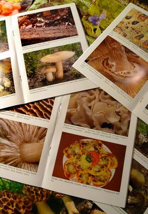 Color photos in the Mykologický sborník journal