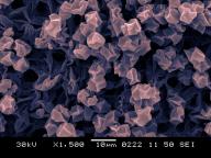 SEM 1500x, kolorováno