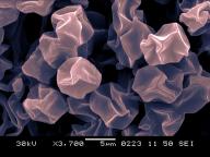 SEM 3700x, kolorováno