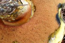 foto Radim Dvořák foto Radim Dvořák