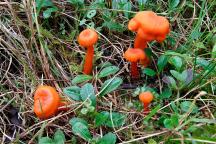 foto Radim Dvořák foto Radim Dvořák