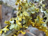 foto Karel Tejkal foto Karel Tejkal