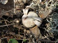 foto Karel Tejkal foto Karel Tejkal