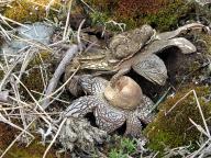 foto Karel Tejkal foto Karel Tejkal