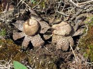 foto Karel Tejkal foto Karel Tejkal