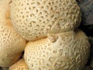 foto Karel Tejkal foto Karel Tejkal