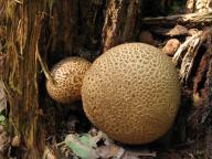 foto Karel Tejkal foto Karel Tejkal