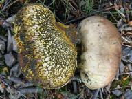 foto Karel Tejkal foto Karel Tejkal