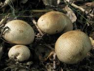 foto Karel Tejkal foto Karel Tejkal