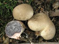 foto Karel Tejkal foto Karel Tejkal