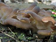 foto Karel Tejkal foto Karel Tejkal