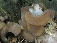 foto Karel Tejkal foto Karel Tejkal