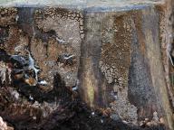 foto Karel Tejkal foto Karel Tejkal