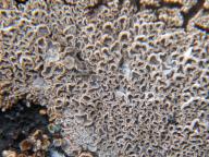 foto Karel Tejkal foto Karel Tejkal