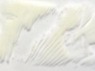 foto Karel Tejkal foto Karel Tejkal