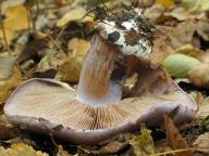 11.10.2012, Středočeský kraj