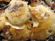 20.10.2012, Středočeský kraj 20.10.2012, Středočeský kraj