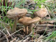 19.05.2013, Středočeský kraj