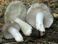 30.08.2013, Středočeský kraj