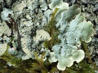 foto Karel Tejkal foto Karel Tejkal