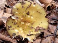 foto Karel Tejkal foto Karel Tejkal