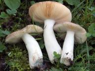 foto Karel Tejkal