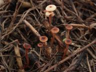 foto Karel Tejkal foto Karel Tejkal