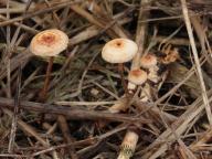 foto Karel Tejkal foto Karel Tejkal